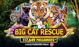 Big Cat Rescue Megaways betpix365